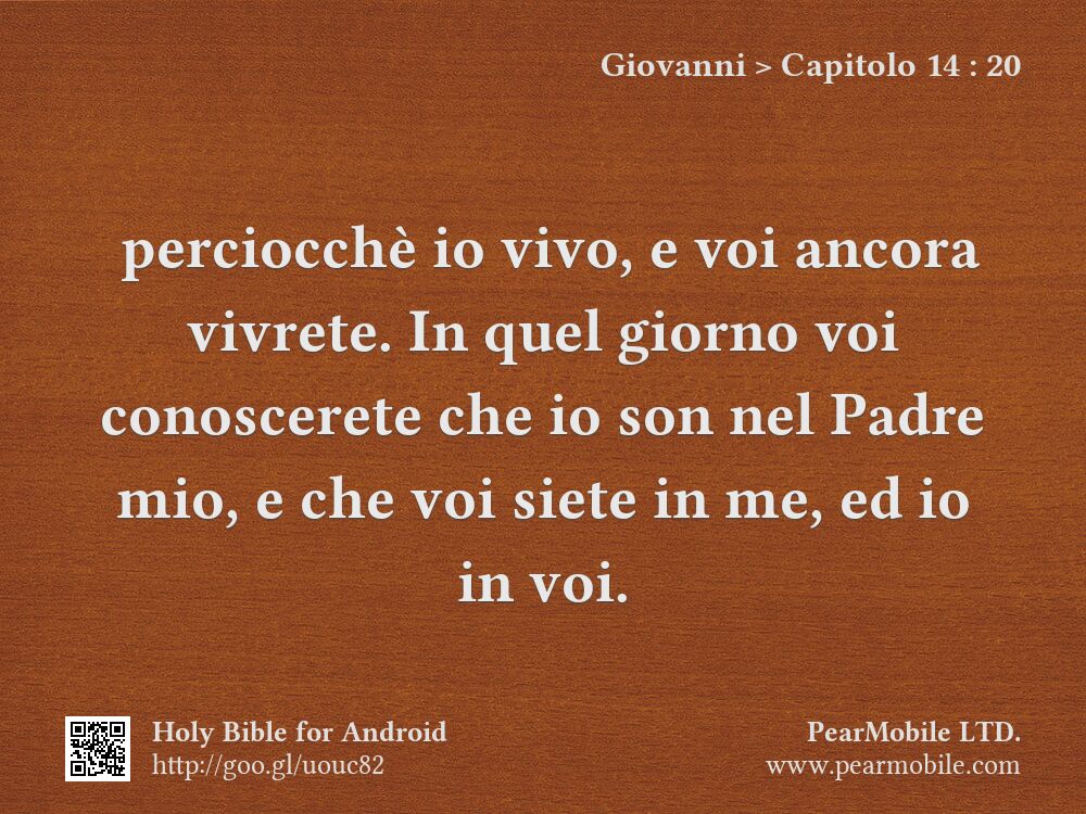 Giovanni, Capitolo 14:20